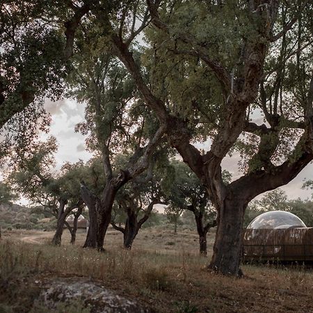 Valencia de Alcántara Finca El Cortinal מראה חיצוני תמונה