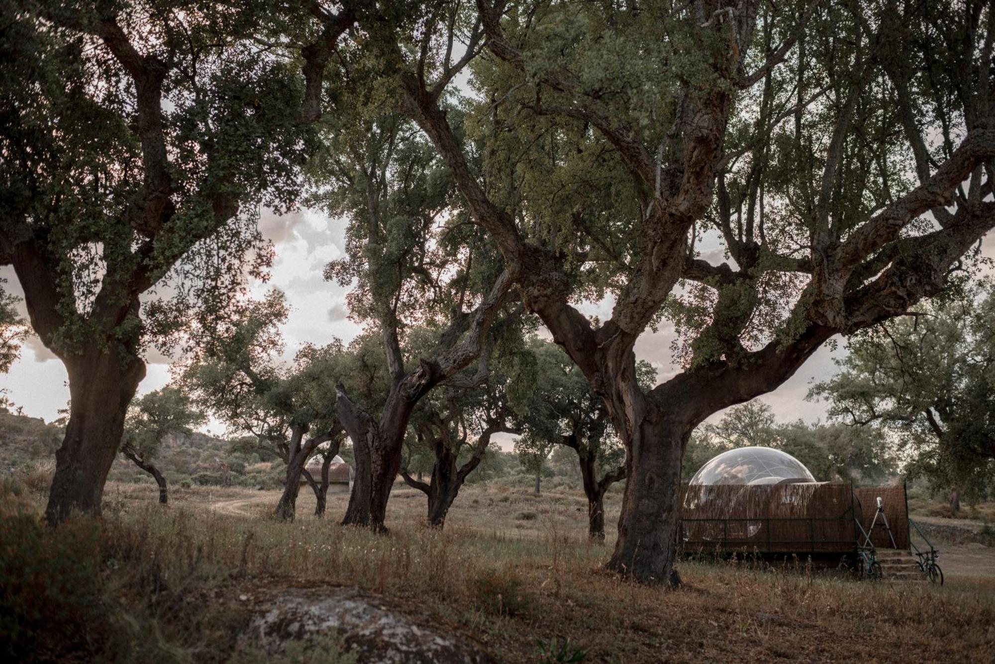 Valencia de Alcántara Finca El Cortinal מראה חיצוני תמונה