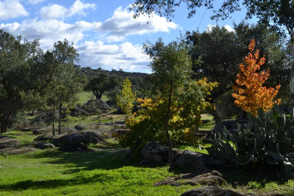 Valencia de Alcántara Finca El Cortinal חדר תמונה